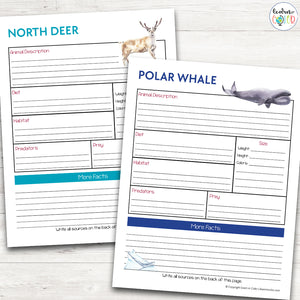 Arctic Animals Research Worksheets
