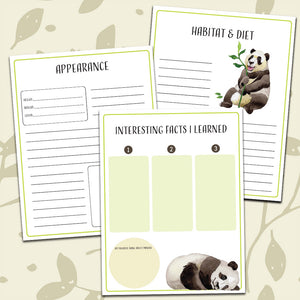 Panda Notebooking Pages <h5><b>Grades:</b> 2-5 </h5>