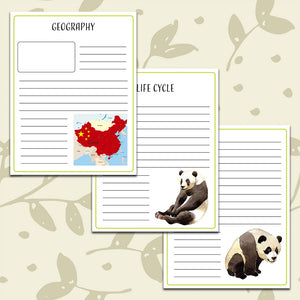 Panda Notebooking Pages <h5><b>Grades:</b> 2-5 </h5>
