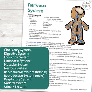 Human Body Systems Cheat Sheets
