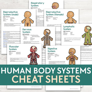 Human Body Systems Cheat Sheets
