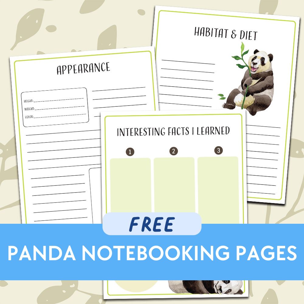Panda Notebooking Pages
