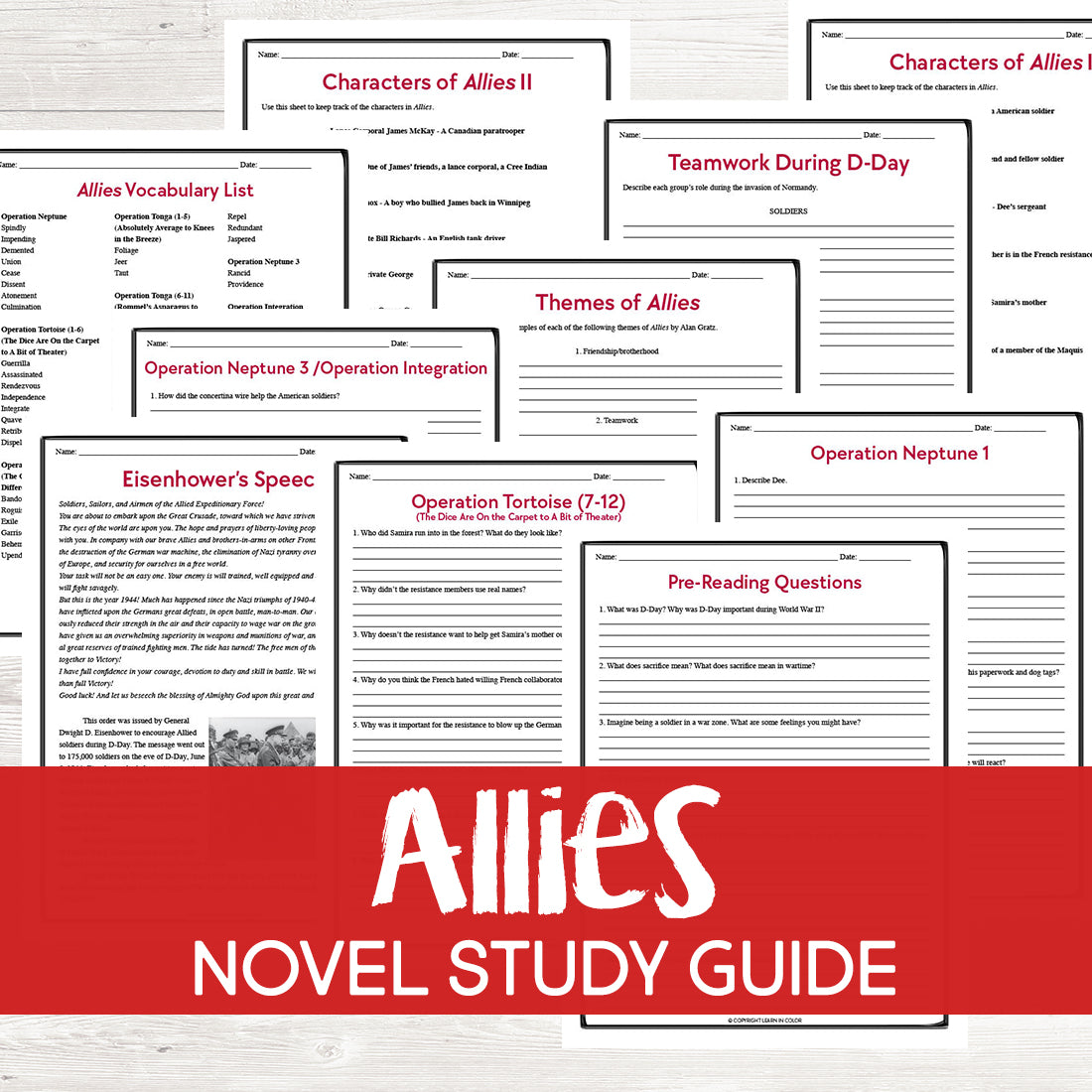 Allies by Alan Gratz Book Study Grades: 6-8 – Learn in Color