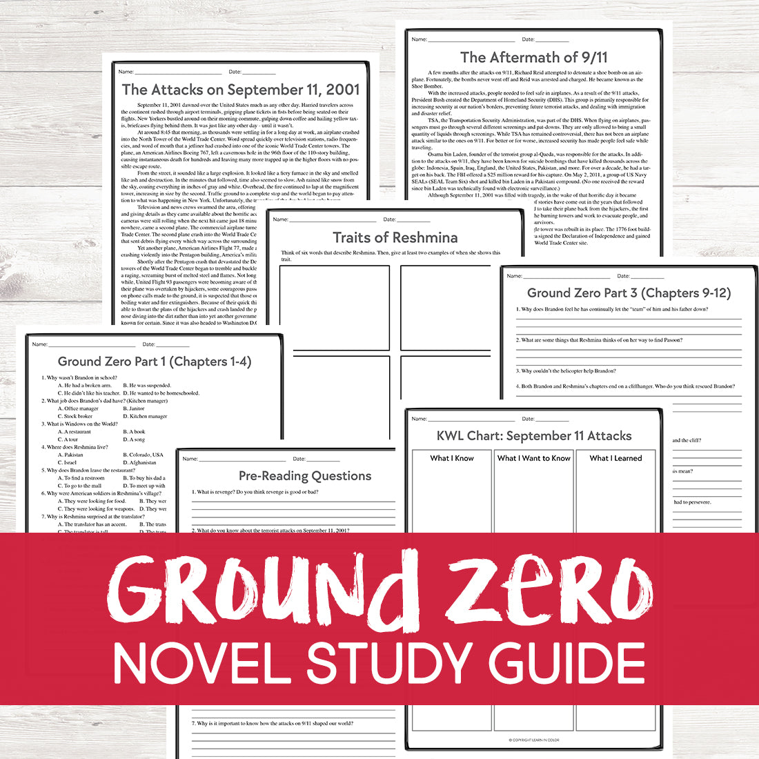 Allies by Alan Gratz Book Study Grades: 6-8 – Learn in Color