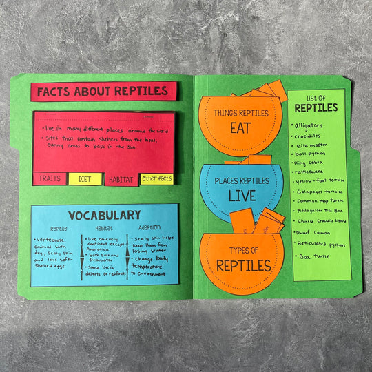 Reptiles Lapbook – Learn in Color