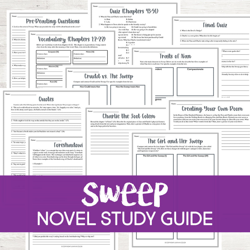 Sweep Novel Study <h5><b>Grades:</b> 4-7 </h5>